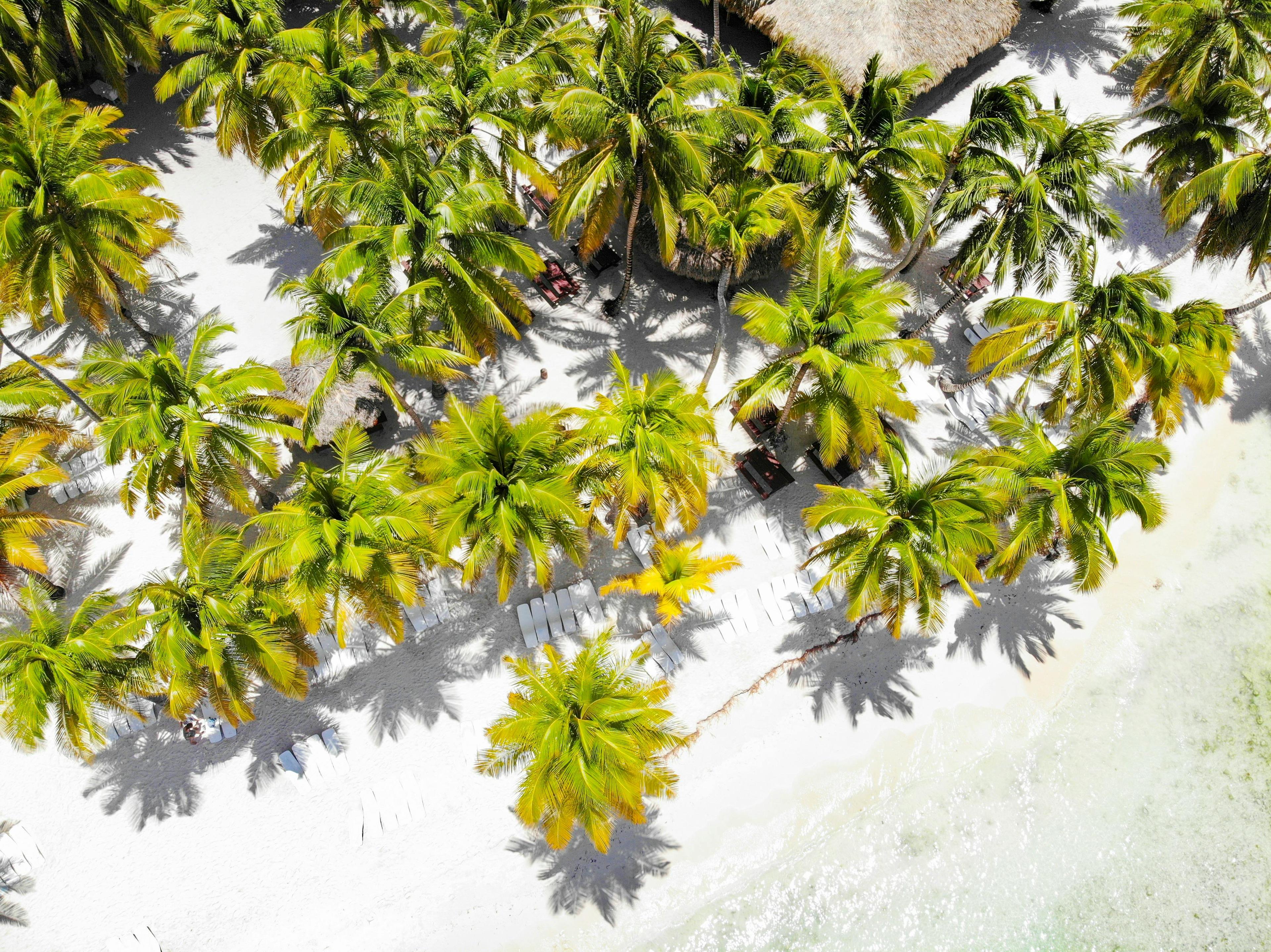 BAYAHIBE y PUNTA CANA en CATALONIA ALL INCLUSIVE