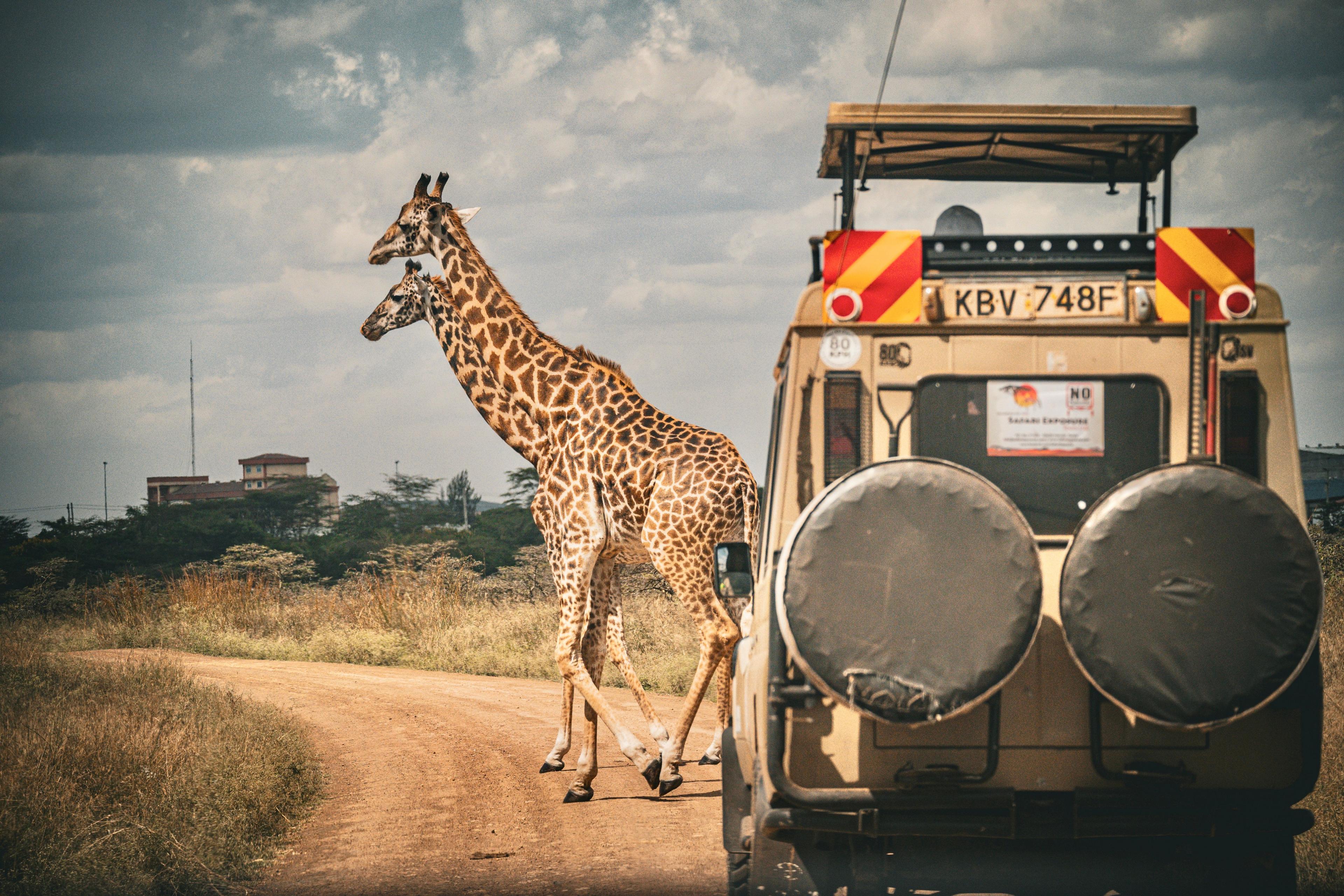 KENIA, TANZANIA & ZANZIBAR CON ALL INCLUSIVE - 9 DE MAYO 2027